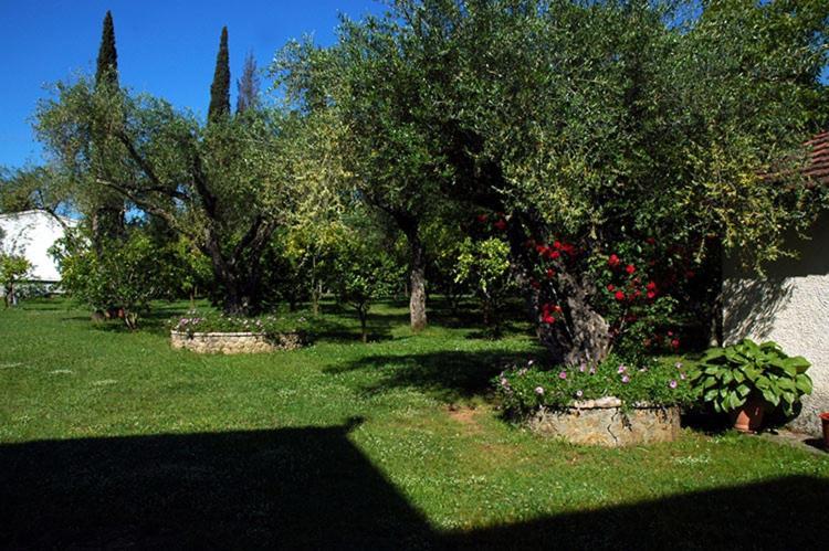 Omirico Studios Corfu  Buitenkant foto